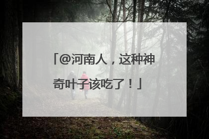 @河南人，这种神奇叶子该吃了！