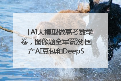 AI大模型做高考数学卷，图像题全军覆没 国产AI豆包和DeepSeek均得分144