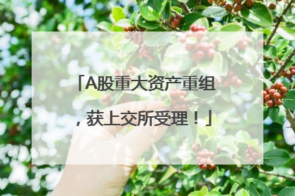 A股重大资产重组，获上交所受理！