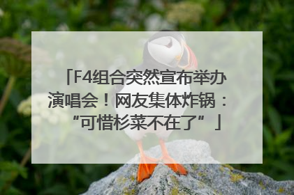 F4组合突然宣布举办演唱会！网友集体炸锅：“可惜杉菜不在了”