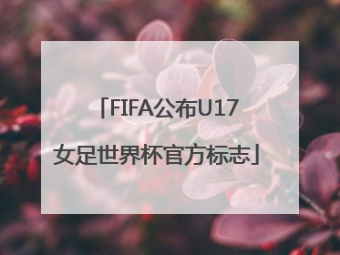 FIFA公布U17女足世界杯官方标志