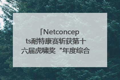Netconcepts耐特康赛斩获第十六届虎啸奖“年度综合服务商”大奖